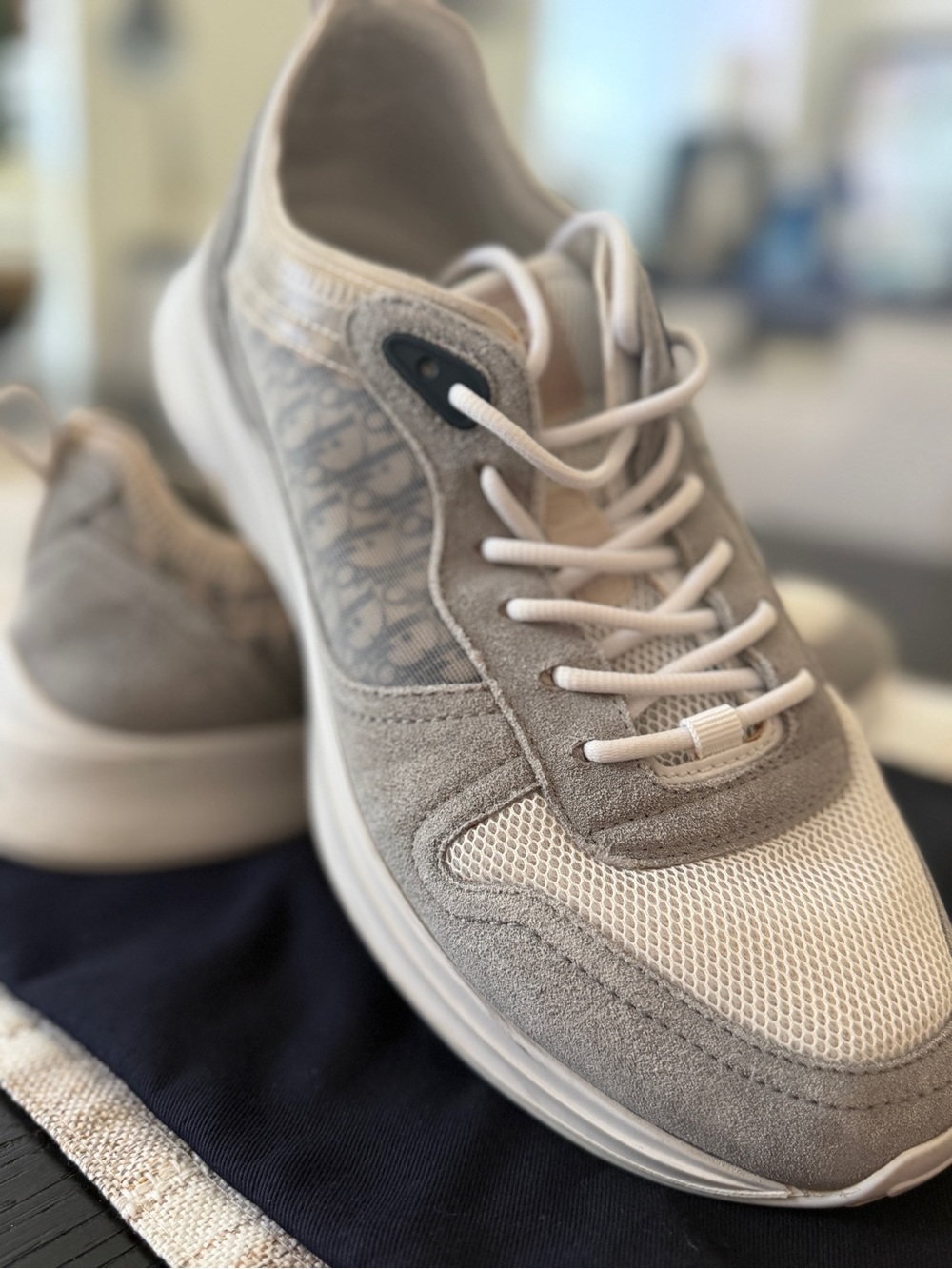 Dior Men’s Light Gray & White Suede Mesh Sneakers